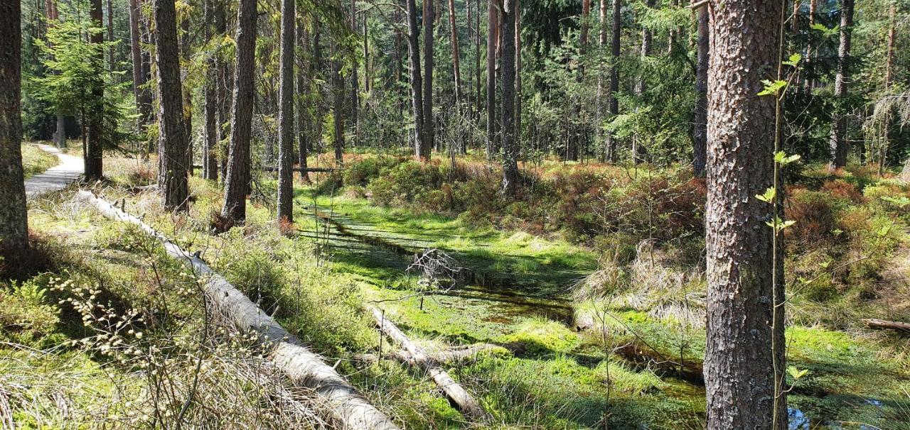 Eco Domek Z Duzym Ogrodem I Widokiem Murzasichle Bagian luar foto