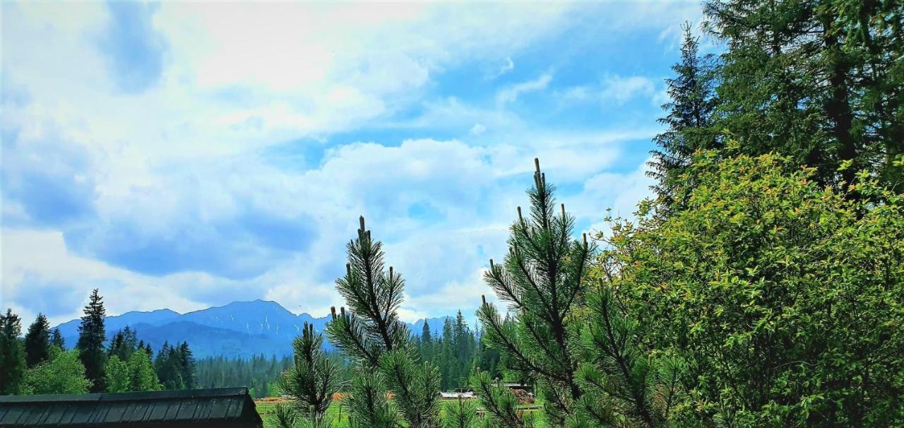 Eco Domek Z Duzym Ogrodem I Widokiem Murzasichle Bagian luar foto