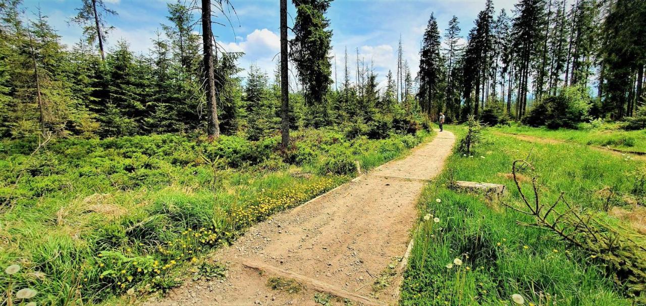 Eco Domek Z Duzym Ogrodem I Widokiem Murzasichle Bagian luar foto