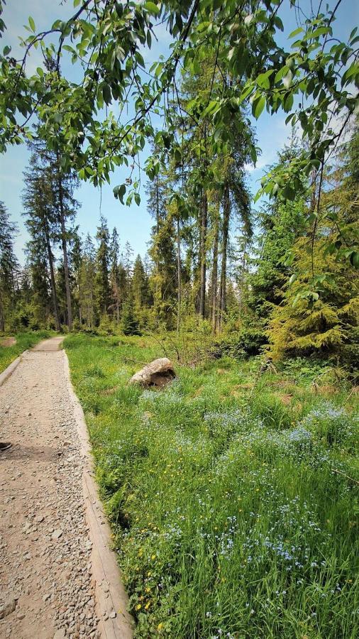 Eco Domek Z Duzym Ogrodem I Widokiem Murzasichle Bagian luar foto