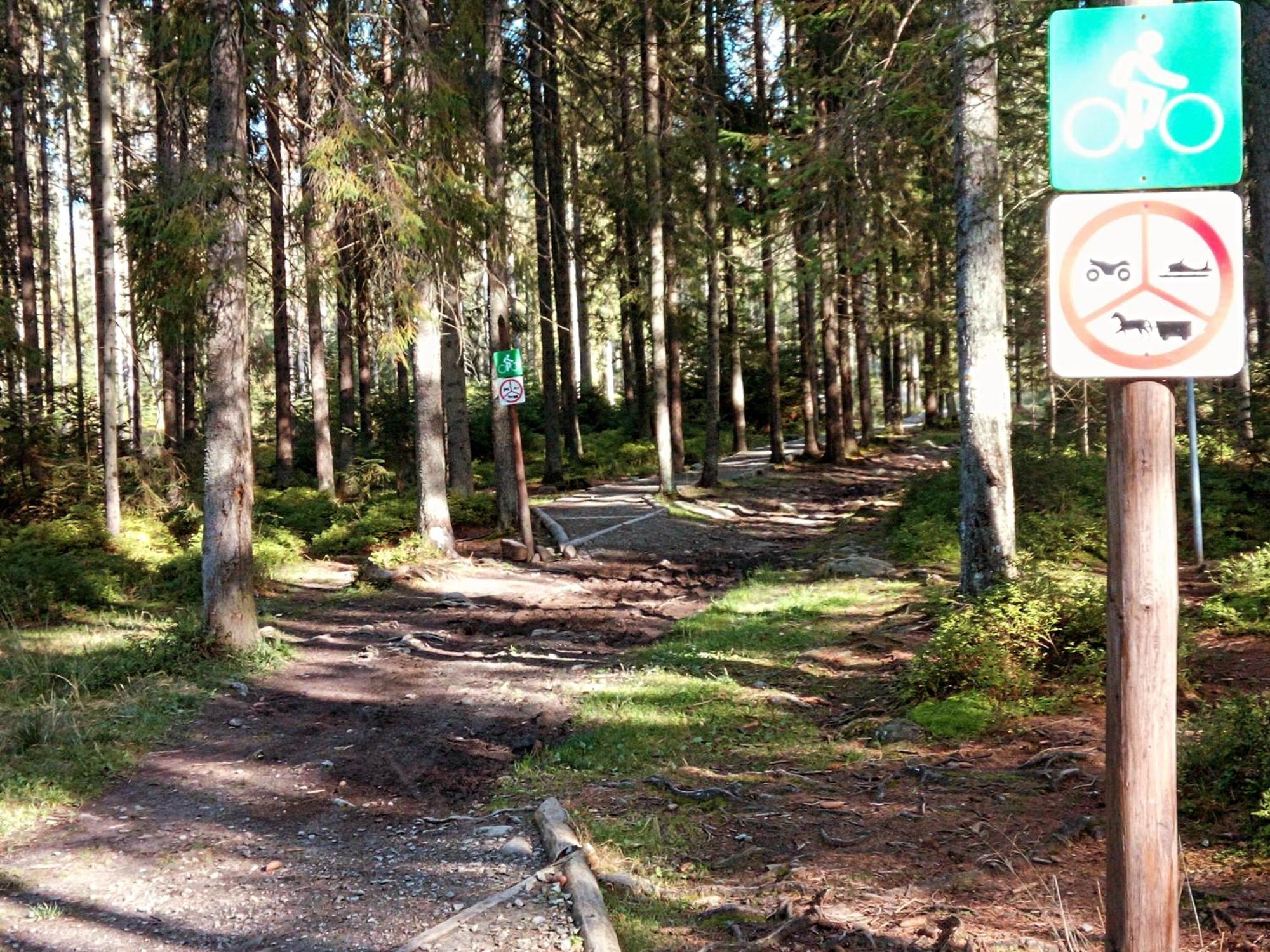 Eco Domek Z Duzym Ogrodem I Widokiem Murzasichle Bagian luar foto